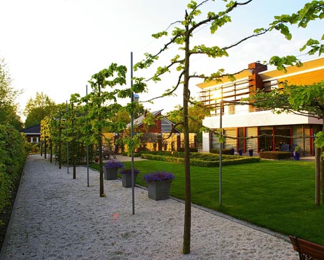 Tuin aan de Houtlaan in Assen