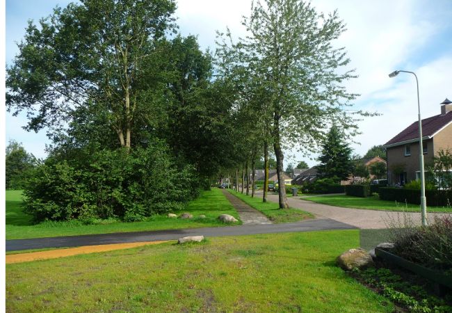 Herstructurering  Bloemenbuurt in Nieuw Buinen