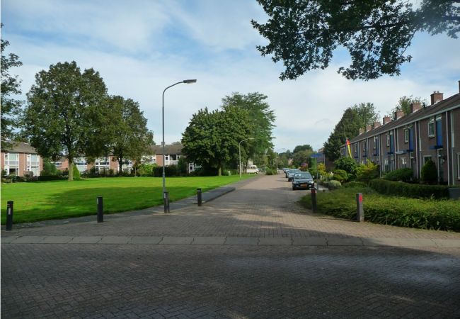 Herstructurering  Bloemenbuurt in Nieuw Buinen