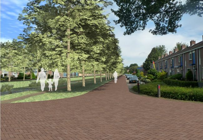 Herstructurering  Bloemenbuurt in Nieuw Buinen