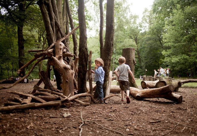 Herinrichting Bezoekerscentrum Drents Friese Wold in Terwischa