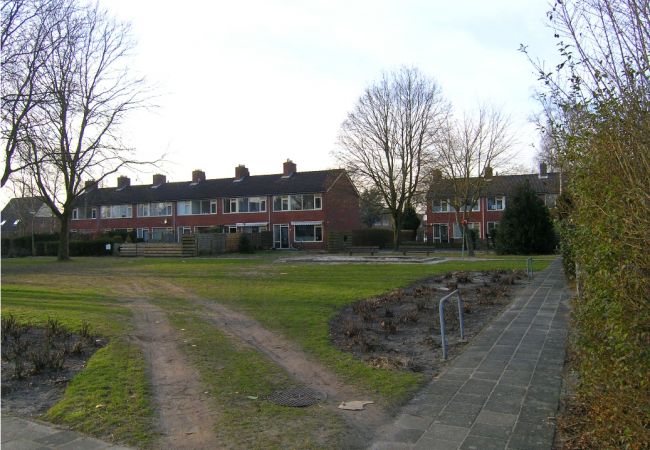 Herstructurering  Bloemenbuurt in Nieuw Buinen