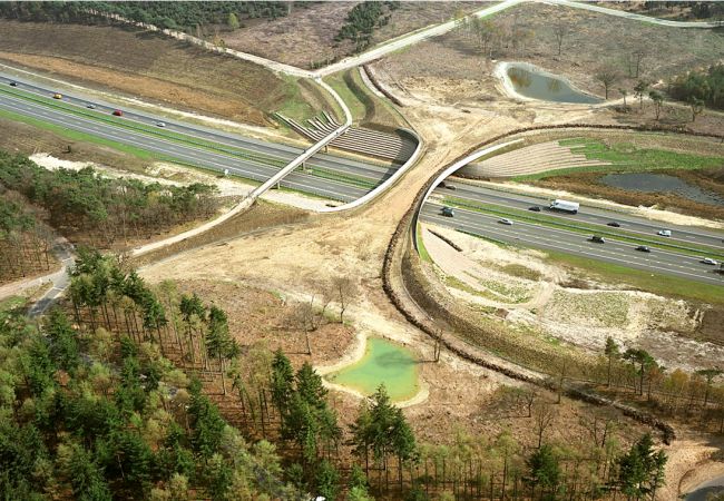 Ecoduct De Borkeld over de A1 nabij Rijssen