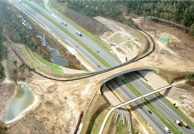 Ecoduct De Borkeld over de A1 nabij Rijssen