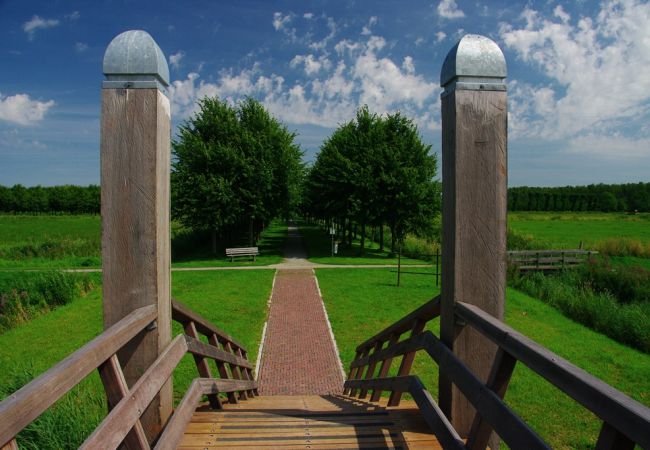 Hoogholtje bij de Borg Ewsum in Middelstum