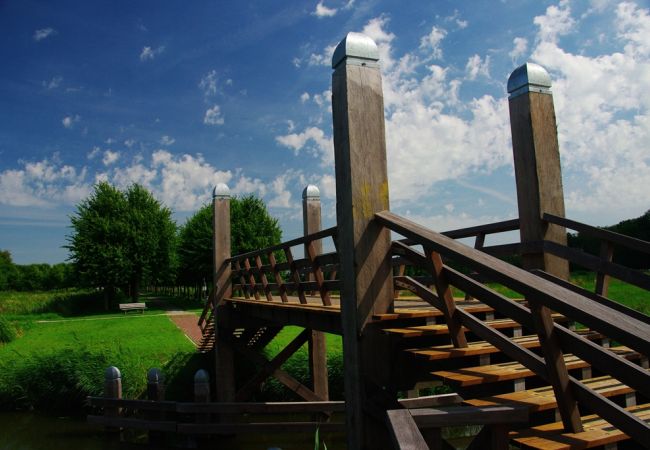 Hoogholtje bij de Borg Ewsum in Middelstum