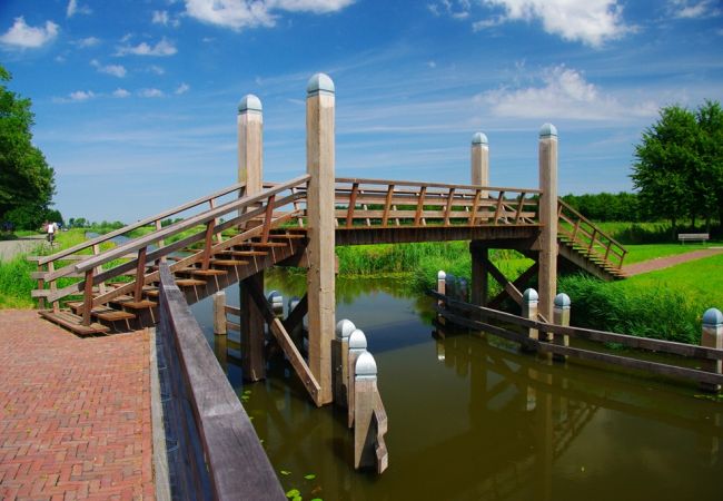 Hoogholtje bij de Borg Ewsum in Middelstum