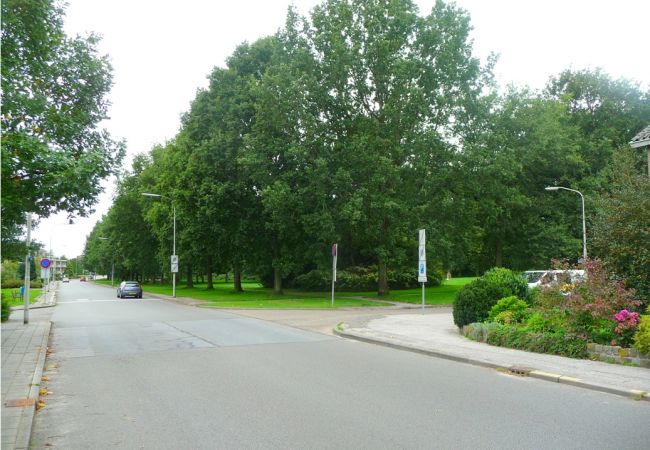 Herinrichting Vondellaan Haren