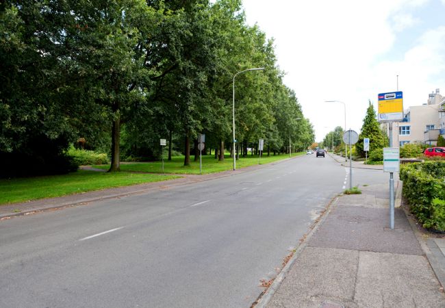 Herinrichting Vondellaan Haren