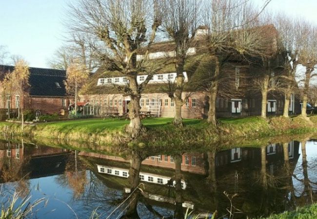 Hoogholtje bij de Borg Ewsum in Middelstum