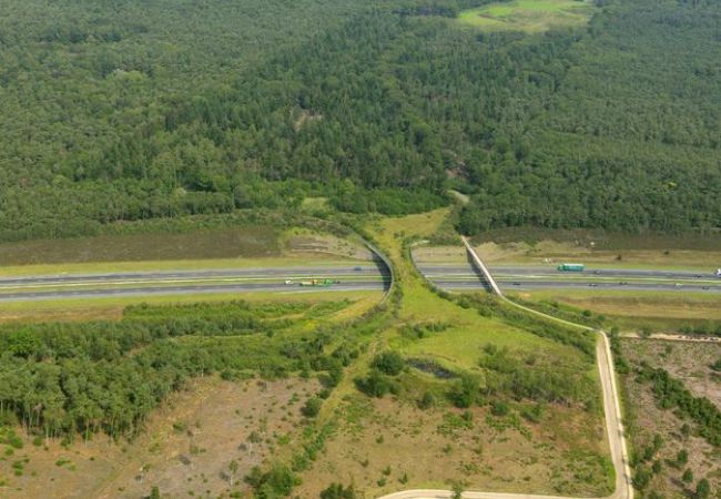 Ecoduct De Borkeld over de A1 nabij Rijssen