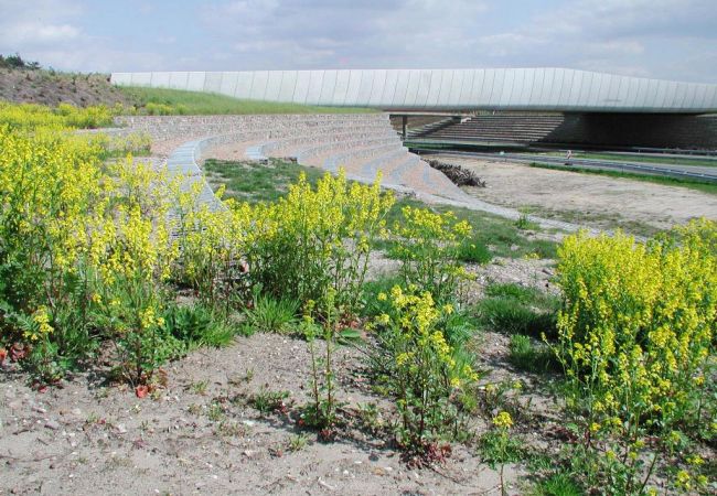 Ecoduct De Borkeld over de A1 nabij Rijssen